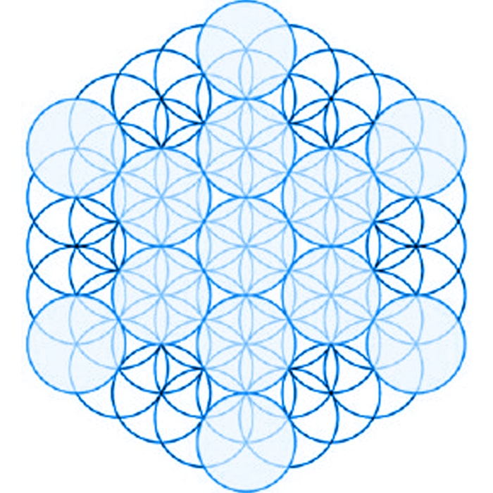 Flower of Life (61 circles)